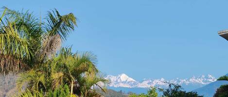 A view of a mountain range with snow-capped peaks in the background, surrounded by lush greenery and residential buildings.