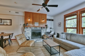 Smart TV, fireplace, books
