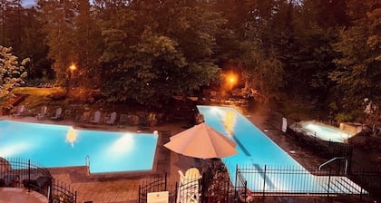 Enchanting condo overlooking Lac du Mont-Tremblant CITQ # 311589