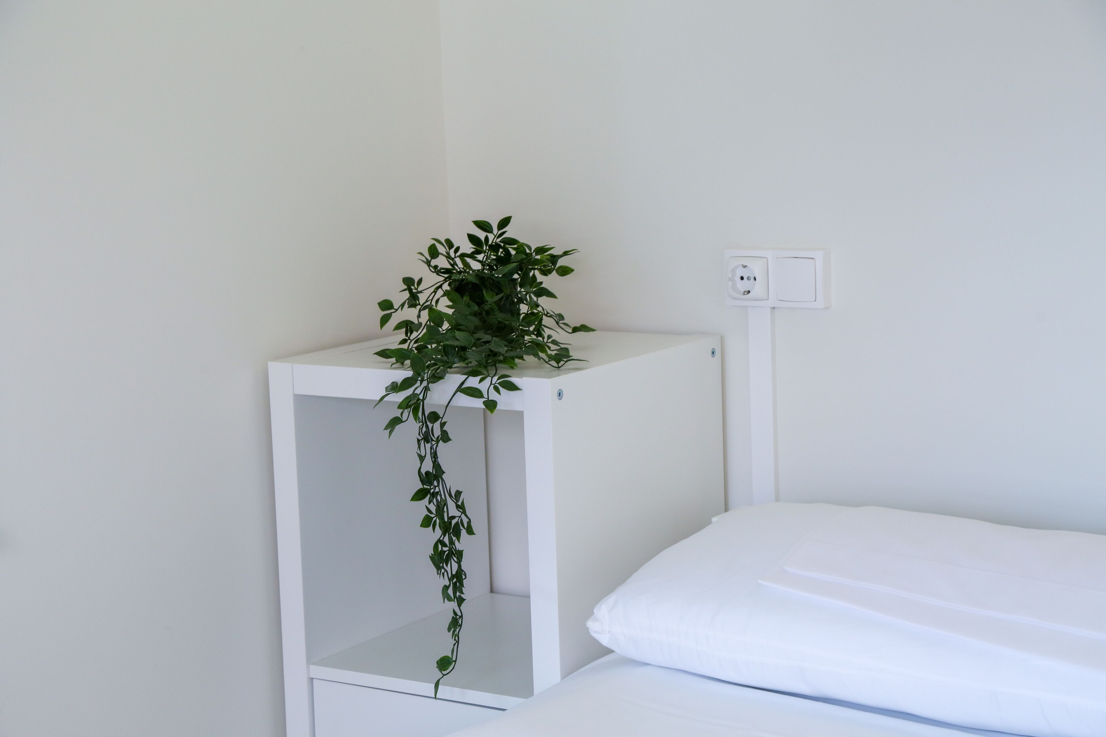 Foto - Aterpe Kanpezu Hostel