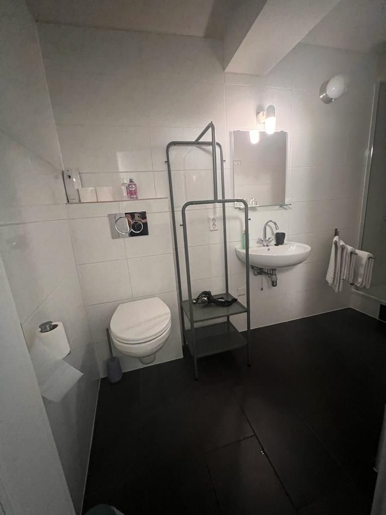 Un baño con inodoro, lavabo, ducha y toallero.