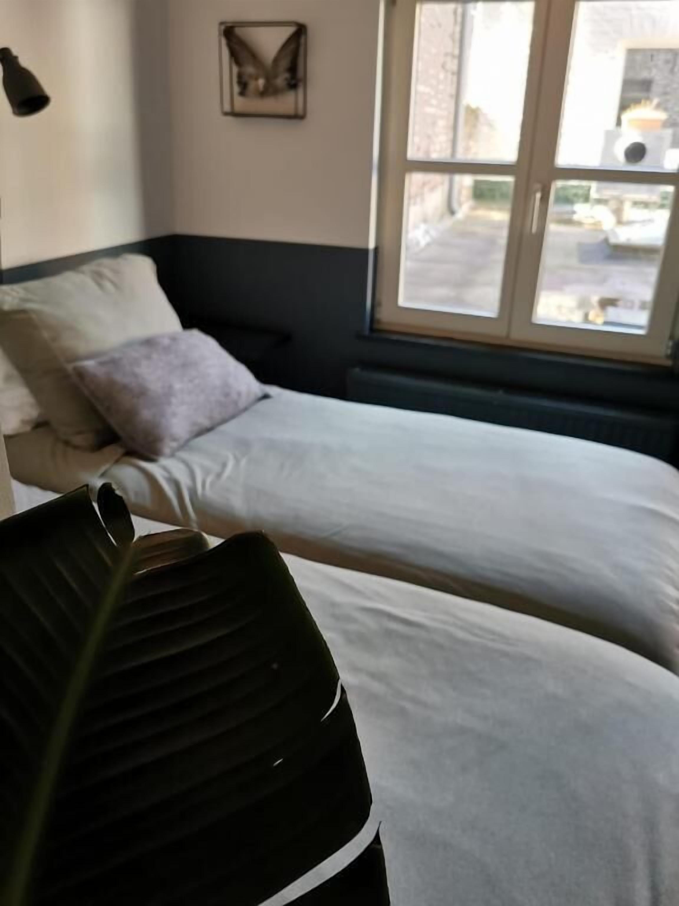 A room with two beds, a window with a view of the street, a wall-mounted picture frame, and a plant in the foreground.