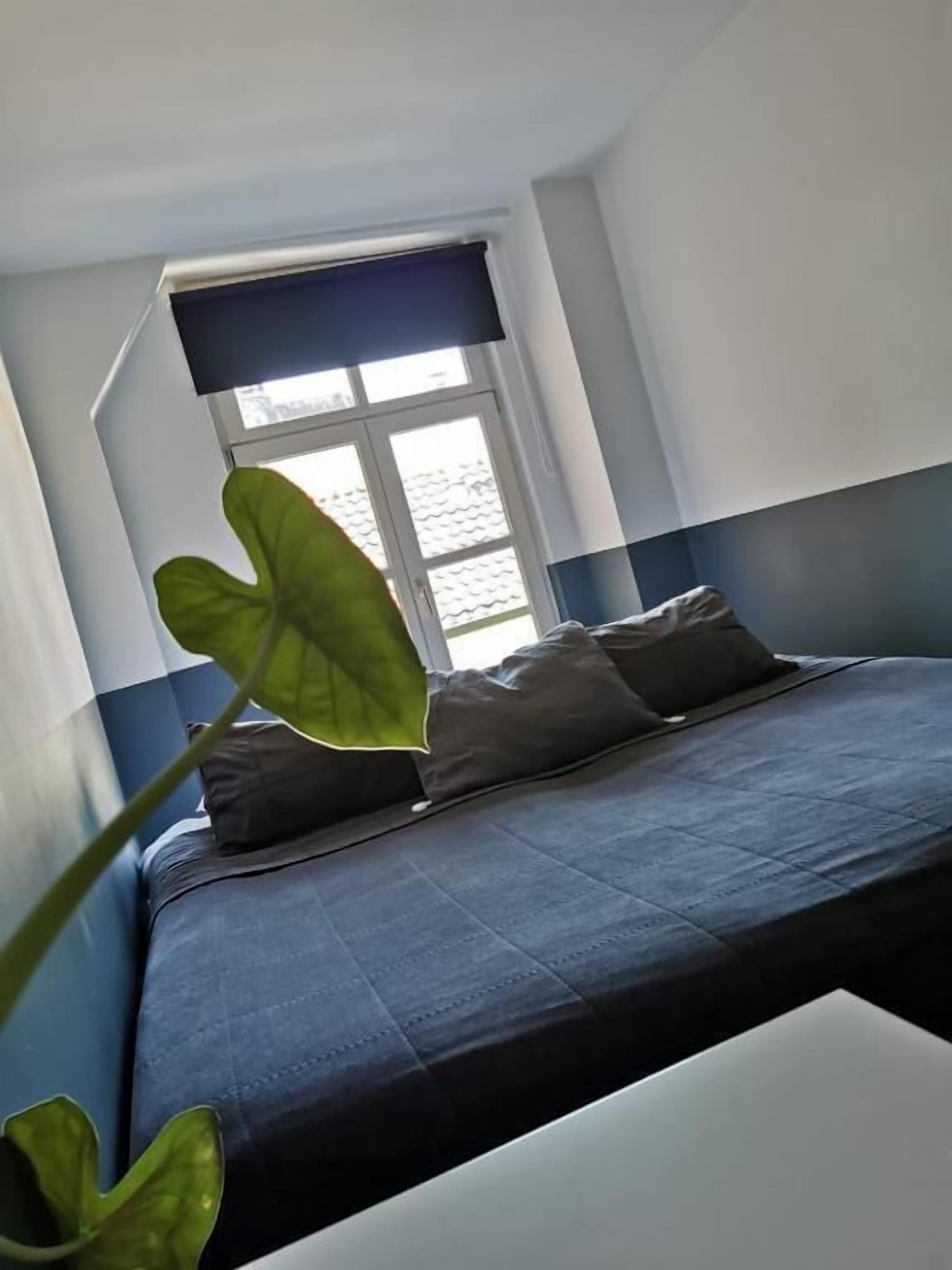A room with a bed, a window, and a plant.