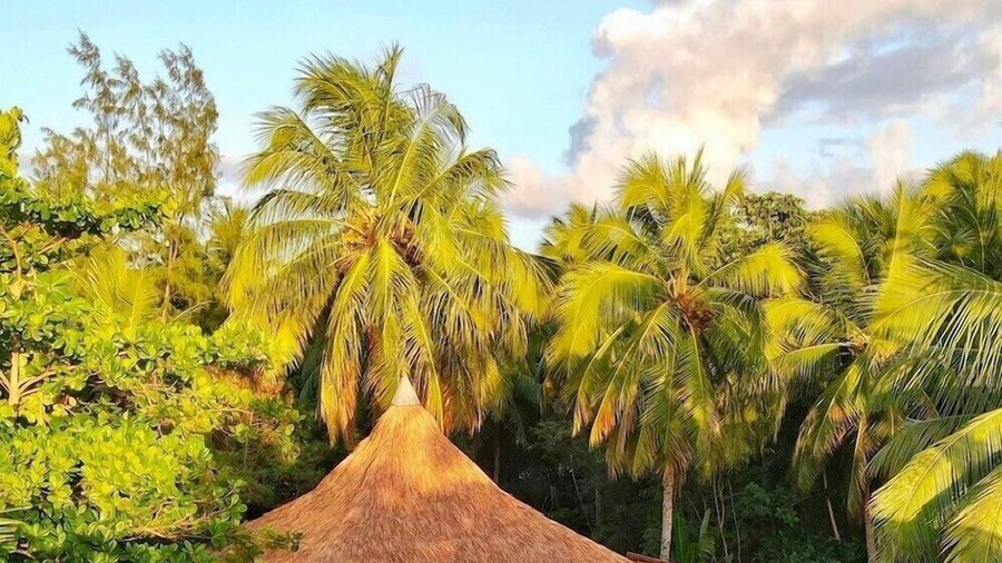 Pousada Camurim Grande