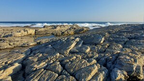 Una costa rocosa con olas rompiendo contra las rocas.