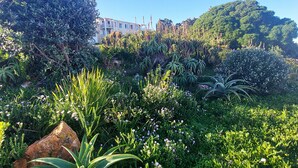 A lush garden with various plants and a building in the background. - First Group Hermanus Beach Club (Hermanus)