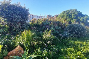 Property grounds - First Group Hermanus Beach Club (Hermanus)