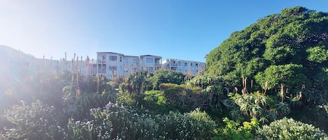 A hotel with multiple floors, surrounded by lush greenery and a variety of plants.