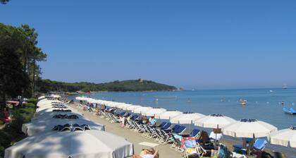 Vier-Familien-Villa mit Garten im Herzen des Pinienwaldes
