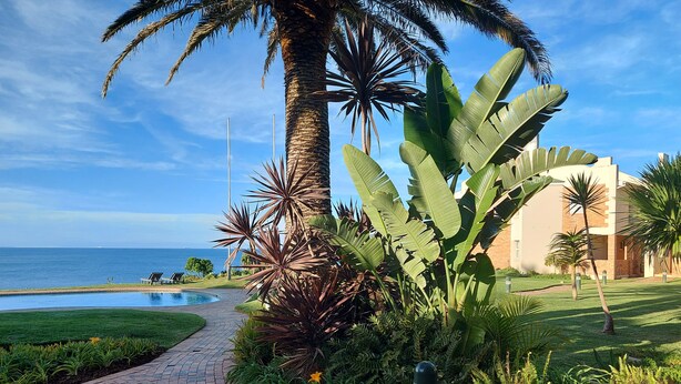 Un sendero ajardinado que lleva a una piscina con plantas tropicales y vistas al océano.
