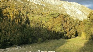 Unclassified image, 4 of 54, button - Very pretty, bright, south-facing sheepfold on an organic farm in the Verdon.  (Var)