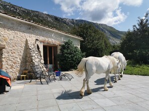 Terrace/patio - Very pretty, bright, south-facing sheepfold on an organic farm in the Verdon.  (Var)