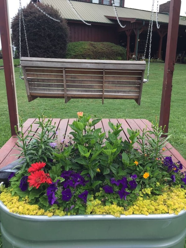 Enceinte de l’hébergement