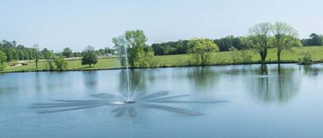 A calm lake with a fountain in the center, surrounded by trees and open fields.