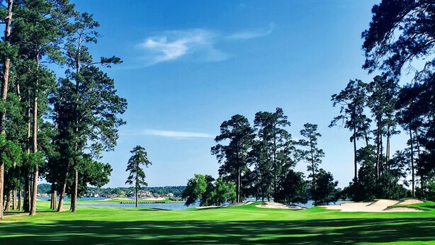 Een golfbaan met een waterpartij op de achtergrond, omringd door hoge bomen.