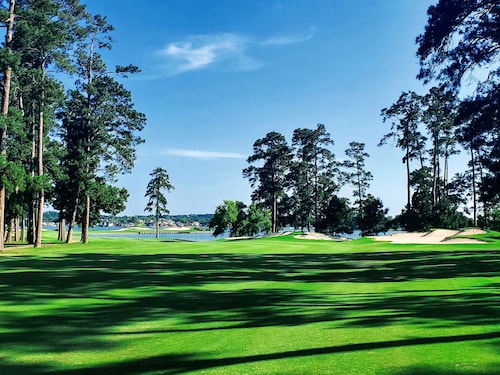 Comfy Condo with Remote Office / Workspace - Closest Condo to Walden Golf Club!