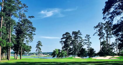 Comfy Condo with Remote Office / Workspace - Closest Condo to Walden Golf Club!