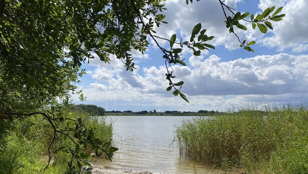 A natural landscape with a body of water, surrounded by greenery and trees. - Vacation at the Baltic Sea - beautiful vacation apartment for 4 persons (Warnow)