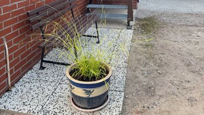 A brick building with a staircase leading to a door, a bench, and a potted plant on a paved area. - Vacation at the Baltic Sea - beautiful vacation apartment for 4 persons (Warnow)