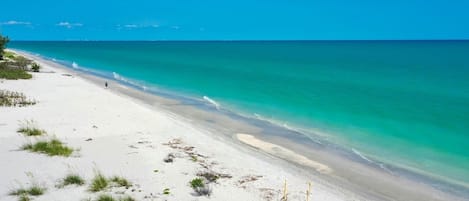 海灘