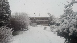 A snow-covered pathway leading to a building with a chimney, surrounded by snow-laden trees and bushes. - Chalet à la Campagne (Précy-sous-Thil)