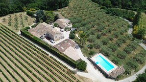 An aerial view of a property with a large house, vineyard rows, and a swimming pool.