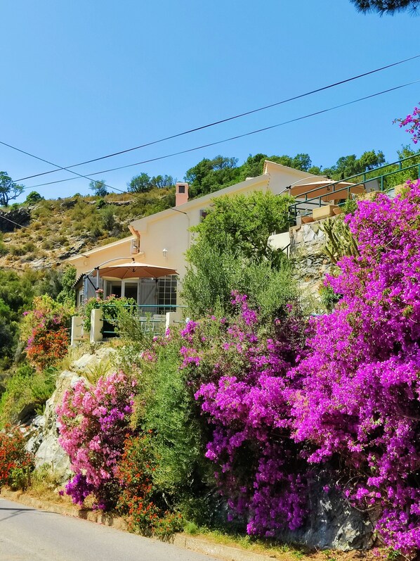 Propiedad en una ladera con casa, mobiliario exterior y vegetación exuberante.