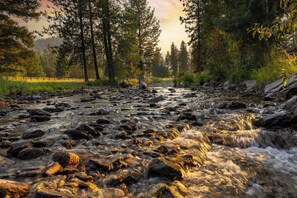 A river flowing through a forest with rocks and trees.