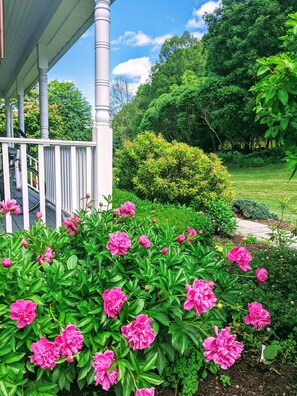 Overnattingsstedets uteområder