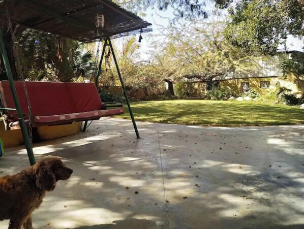 Property grounds