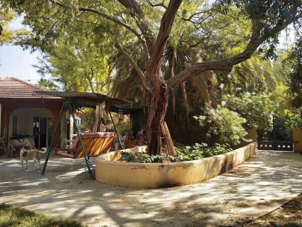 Relax in a serene outdoor space surrounded by lush greenery and a shaded area.