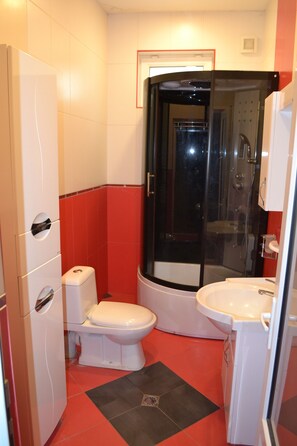 Combined shower/bathtub, jetted bath, bidet
