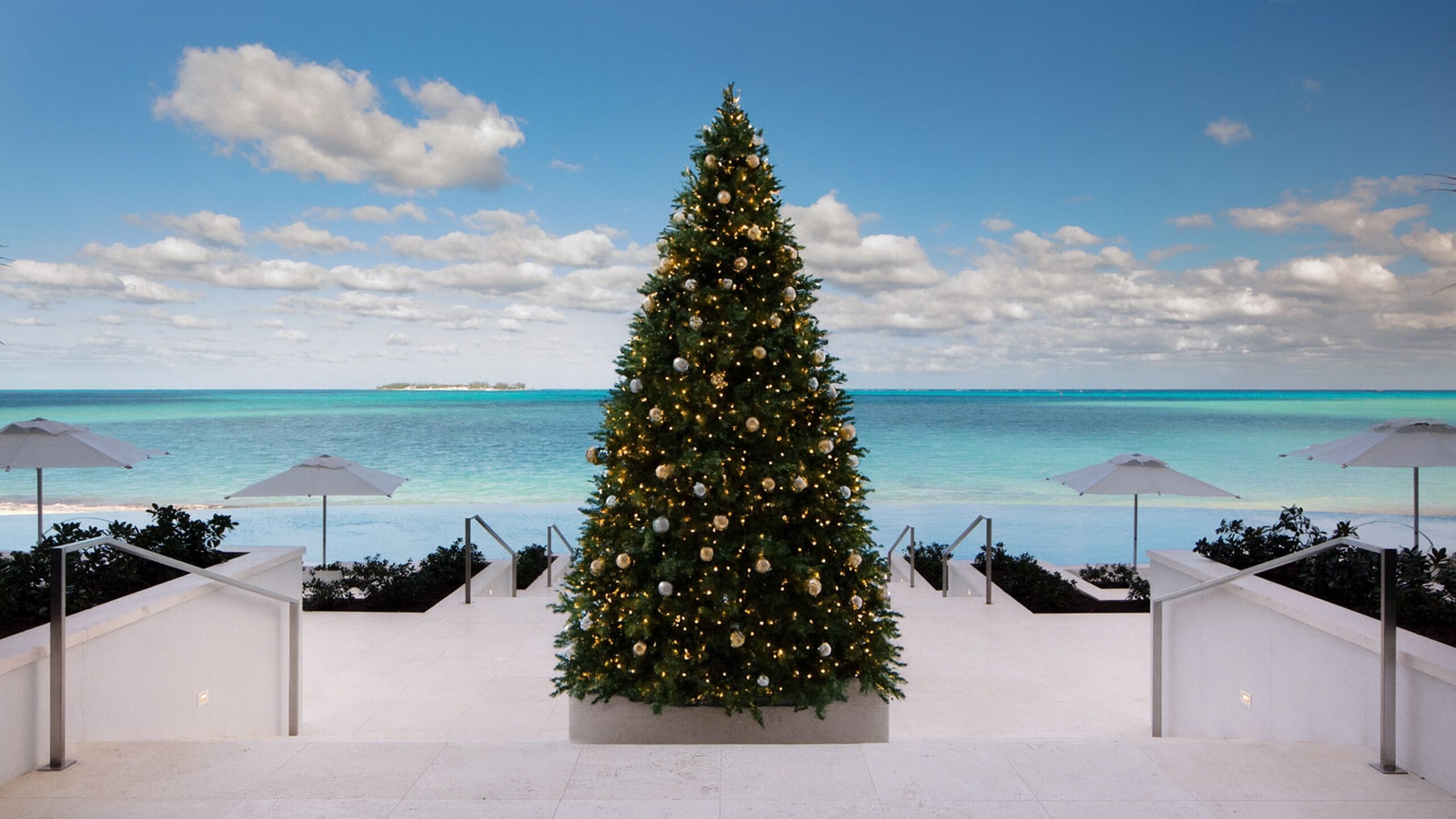 Un árbol de Navidad en una maceta blanca en un resort, con vistas al océano y sombrillas de playa.
