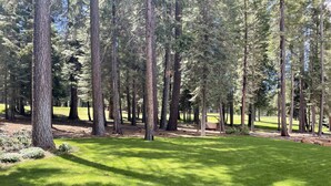 A forested area with a grassy field and a swing set. - Spacious Lake Almanor West Getaway - Enjoy Everything the Lake Has to Offer  (Chester)