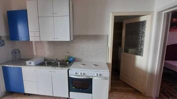 Fridge, oven, cookware/dishes/utensils, spices