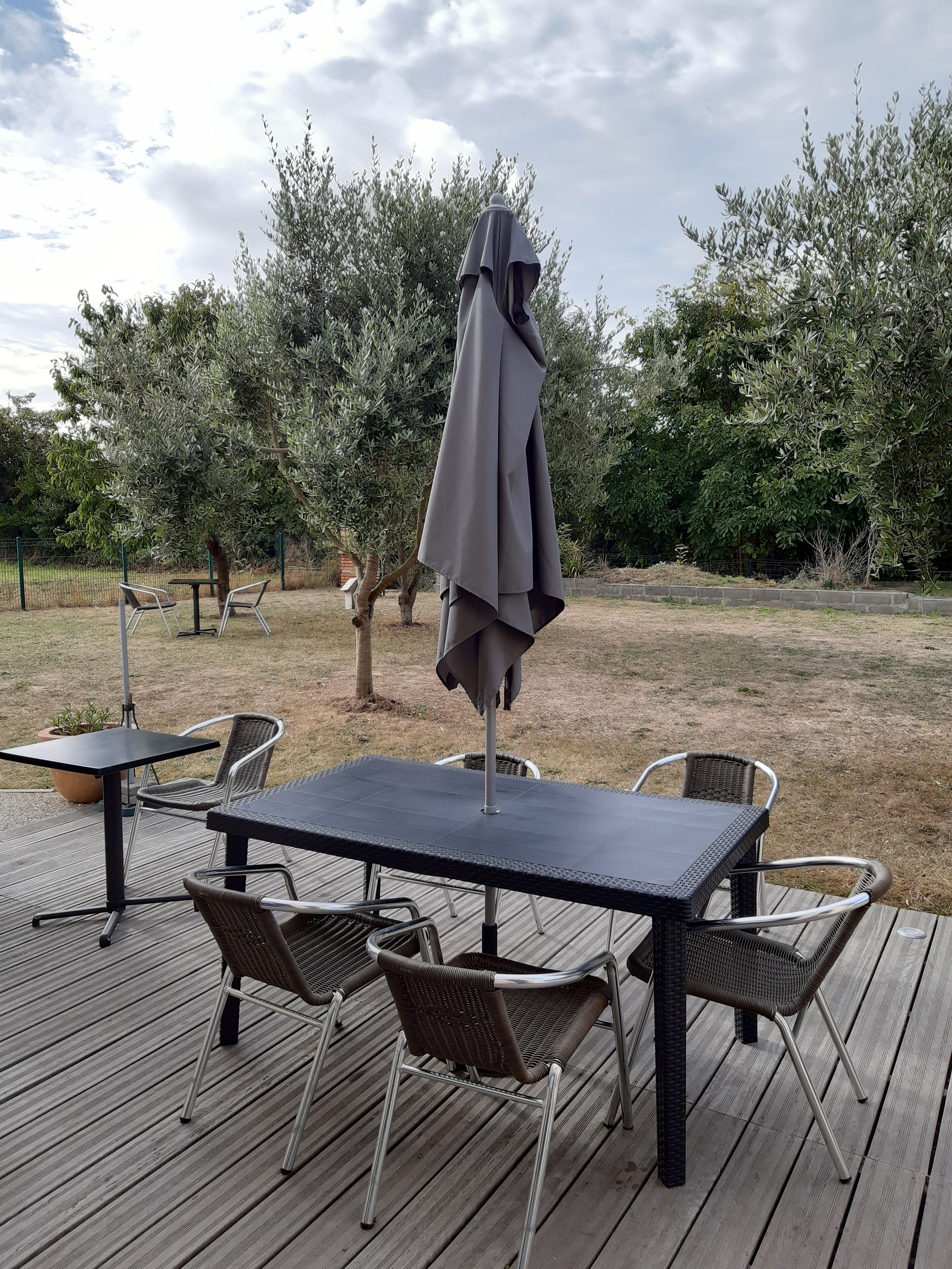En udendørs terrasse med bord og stole omgivet af oliventræer.
