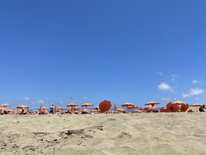 Nära stranden