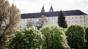 Utsikt fra overnattingsstedet