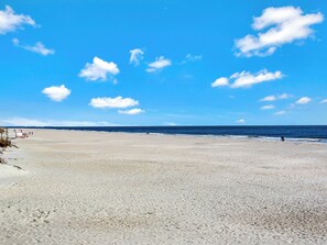 Playa en los alrededores 