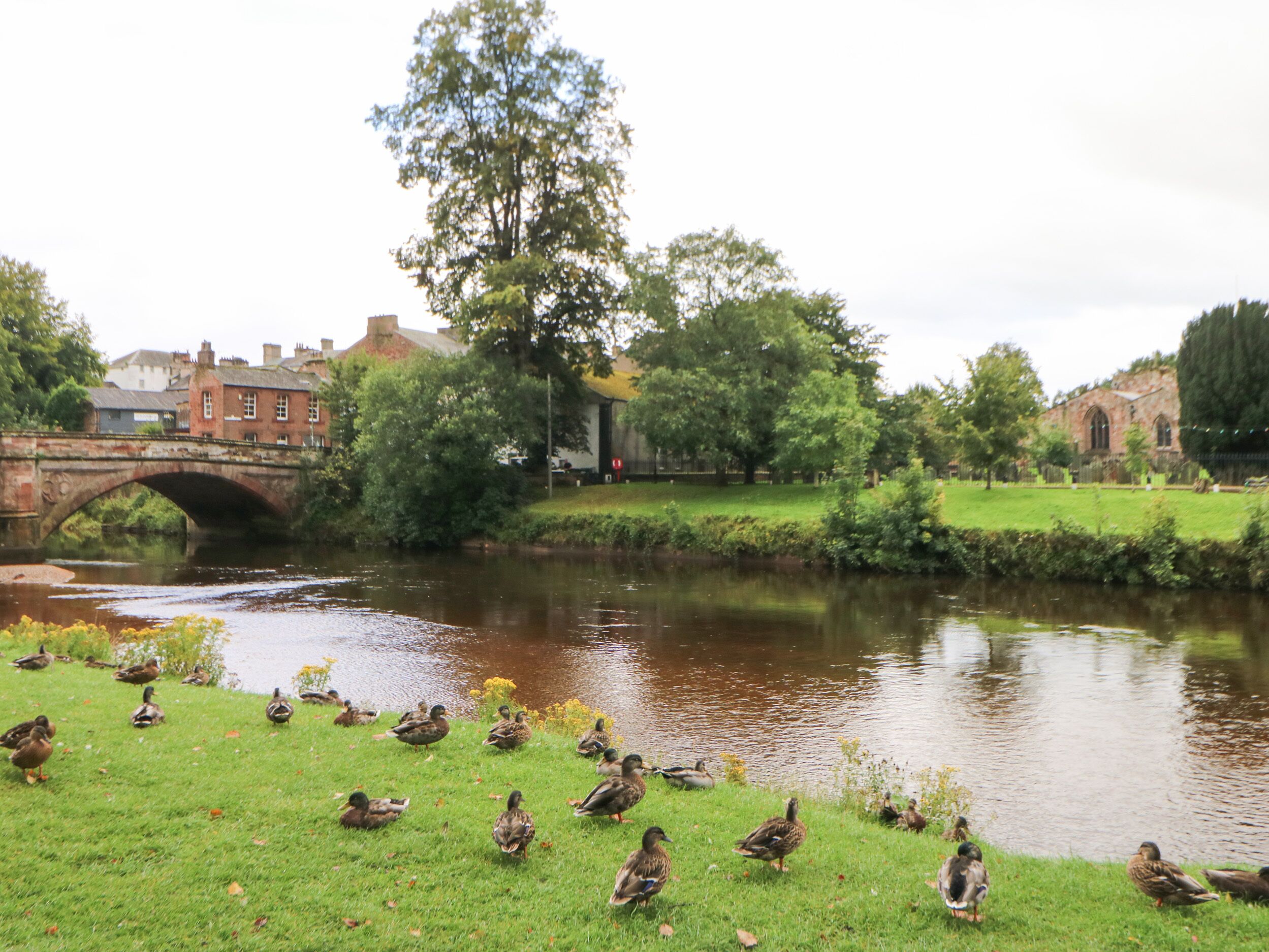 コテージ | 内装