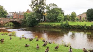 A river with ducks on the bank, a bridge, and buildings in the background. - Pine Cottage (Appleby-in-Westmorland)