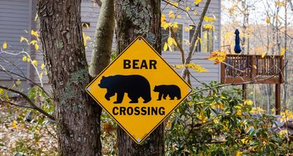 The Bear's Den at Wintergreen- 6 Bedroom
