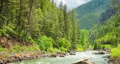 Gallatin River waterfront fly fishing access w/fire pit - Historic Gallatin River Cabin
