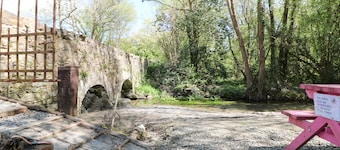 Yew Tree House