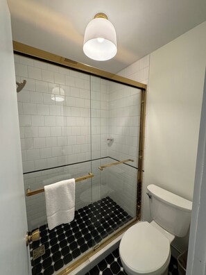 Regadera y regadera tipo lluvia 