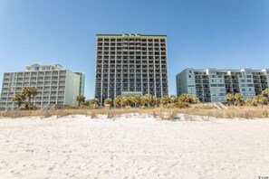 Condo, 1 Bedroom, Oceanfront (417) | Exterior