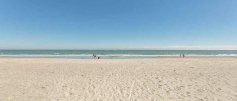 Condo, 1 Bedroom, Oceanfront (417) | Exterior