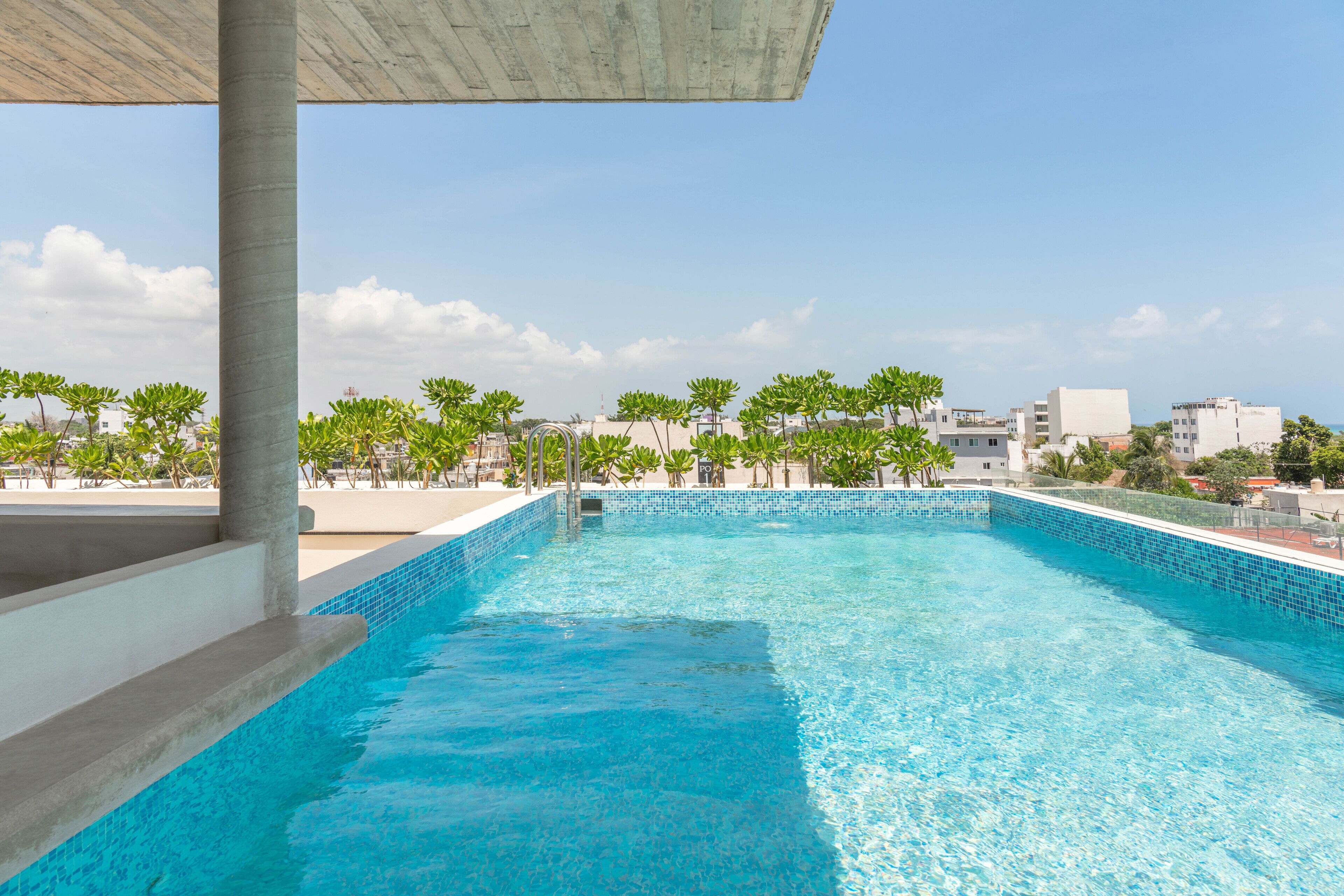 A rooftop swimming pool with clear blue water, surrounded by palm trees and buildings in the background.