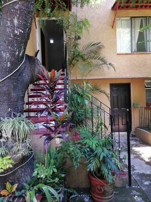 Terrace/patio - POSADA BUGAMBILIAS (Tepoztlán)