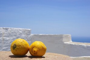 Utsikt fra overnattingsstedet